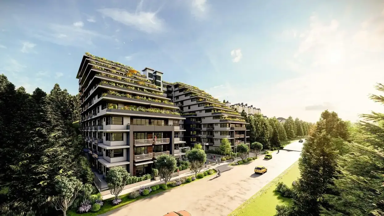 Bayrock Terrace